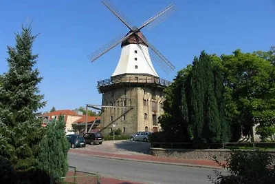 FW Falshöft