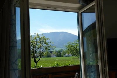 Vakantiehuis Ontspannende vakantie Altmünster
