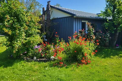 Cathrin`s Boddenblick