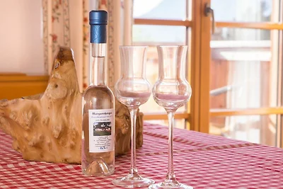 Vakantieappartement Gezinsvakantie Unterach am Attersee