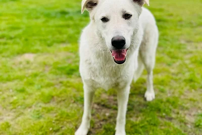 Apartamento Vacaciones familiares Barth