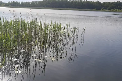 Fewo Naturparadies für 2 Pers.