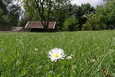 Vakantieappartement Gezinsvakantie Blankenförde