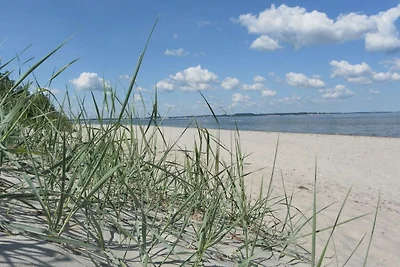 Vakantieappartement Gezinsvakantie Barendorf