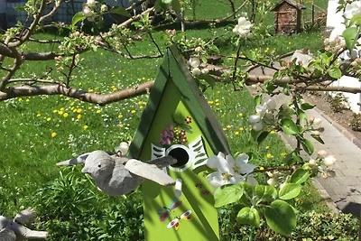 Vakantieappartement Gezinsvakantie Schoppernau