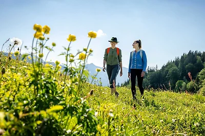 Hotel cultural and sightseeing holiday Bayrischzell