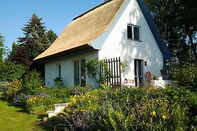 Reetdach-Ferienhaus