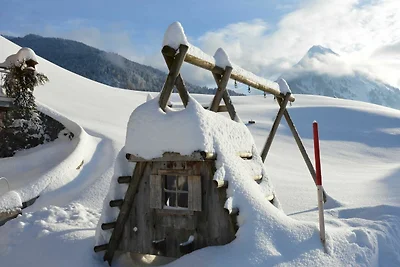 Wohnung Üntschenspitze