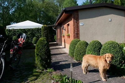 Ferienhaus Mohnfeld