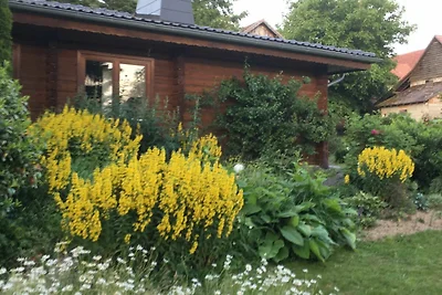 Casa vacanze Vacanza di relax Edertal
