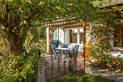 Casa vacanze Vacanza di relax Mesekenhagen