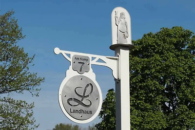 Haffmuschel (5)