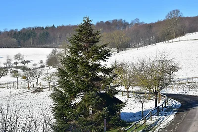 Ferienwohnung 1