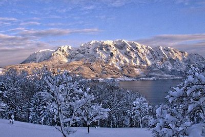 Appartamento Vacanza con famiglia Unterach am Attersee