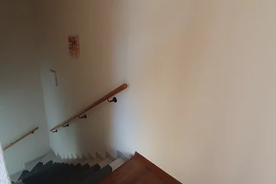 Hinterhaus Malve