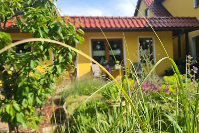 Bungalow mit Terrasse (50m², max 4 Personen)