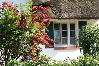 Vakantieappartement Gezinsvakantie Sonthofen