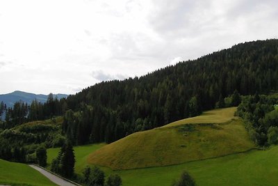 Vakantieappartement Gezinsvakantie Wildschönau