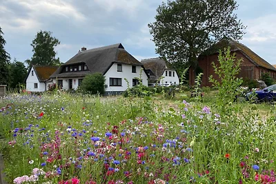 Fewo 1 Gartenwohnung