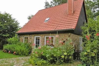 Vakantieappartement Gezinsvakantie Patzig