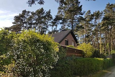 Ferienhaus am Dünenwald DH-45162
