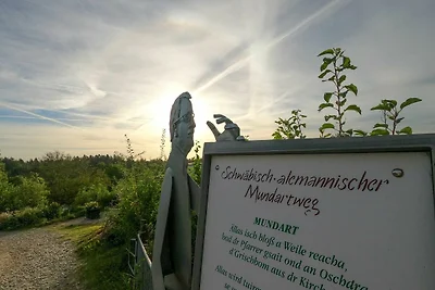 Hotel Cultuur en bezienswaardigheden Illmensee