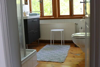 3-Zi-Fewo, bis 4 Pers., Balkon, Terrasse