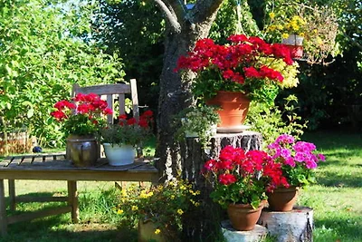 Appartamento Vacanza con famiglia Bodstedt