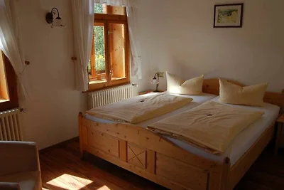 Albergo Cultura ed escursioni Klingenthal