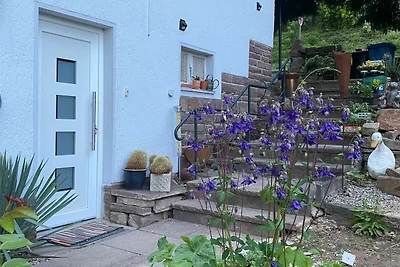 2-Raum Ferienwohnung (45m²)