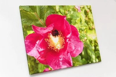 Ferienwohnung Osthörn