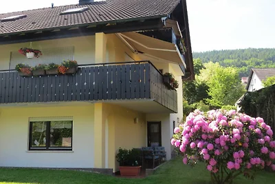 Appartamento Vacanza con famiglia Miltenberg