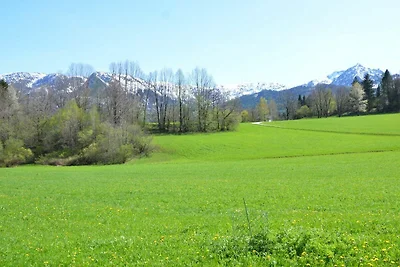 Appartamento Vacanza con famiglia St. Wolfgang