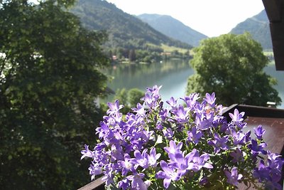 Vakantieappartement Gezinsvakantie Schliersee