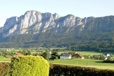 Vakantieappartement Gezinsvakantie Mondsee