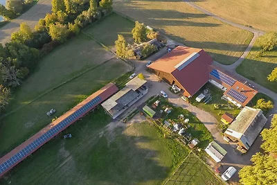 Appartamento Vacanza con famiglia Schwanau