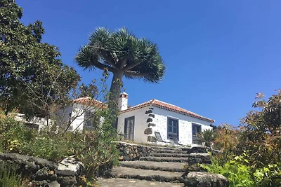 Vakantiehuis Ontspannende vakantie Villa de Mazo