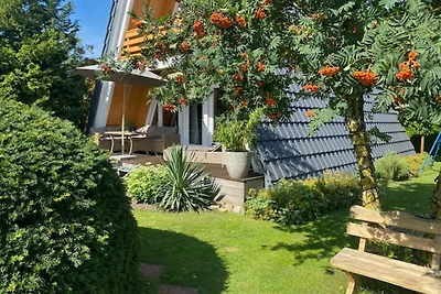 Finnhütten-Ferienhaus