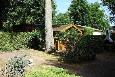 Hotel Cultuur en bezienswaardigheden Graal-Müritz