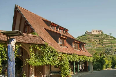 Appartamento Vacanza con famiglia Staufen im Breisgau
