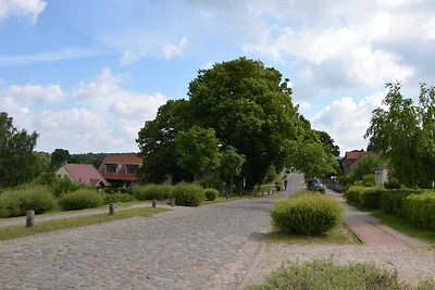 Ferienwohnung Schmaler Luzin