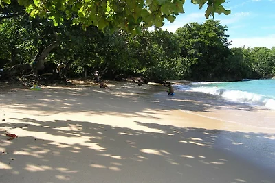Vakantieappartement Gezinsvakantie Maria Trinidad Sanchez