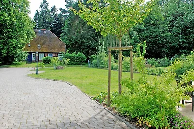 Vakantieappartement Gezinsvakantie Poseritz