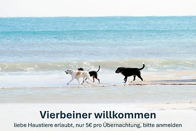 Katamaran-Typ2 #W30a