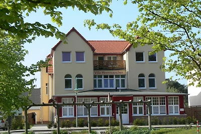 Lavendel Vorbau links (Seiteneingang)