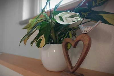 Vakantieappartement Gezinsvakantie Kaunerberg