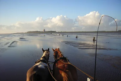Vakantieappartement Gezinsvakantie Cuxhaven