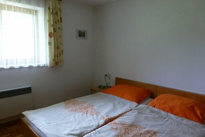 Vakantieappartement Gezinsvakantie Hittisau