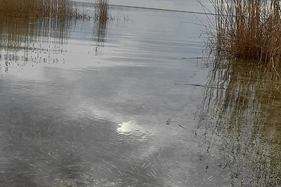 Vakantieappartement Gezinsvakantie Dargen