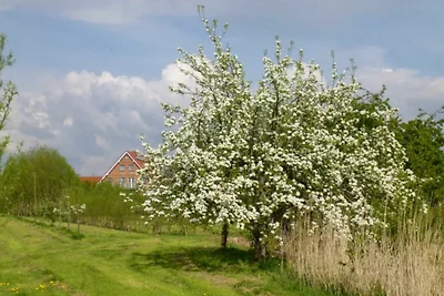 Vakantieappartement Gezinsvakantie Drochtersen Krautsand